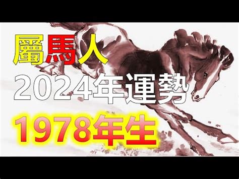 1978年屬馬運勢|1978馬年：2024運程預測